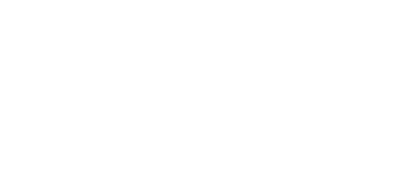 visita Laponia Finlandia